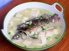 鲫鱼豆腐汤-千岛湖花园饭店-中餐厅