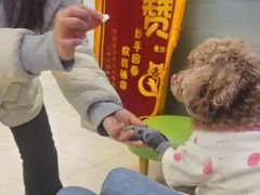 -瑞派申生动物医院·24H夜诊·国际动物医疗中心·骨外科(吴中路店)