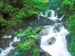 -藏龙百瀑风景区