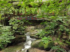 -藏龙百瀑风景区