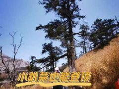 -朱雀国家森林公园