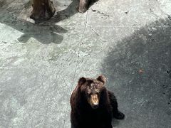 -深圳野生动物园