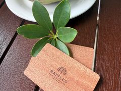 -海南清水湾莱佛士酒店