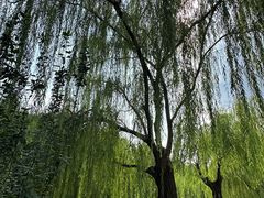 -元大都城垣遗址公园