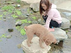 -白水寺森林公园