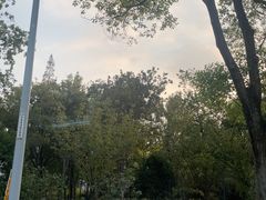 -秋霞圃