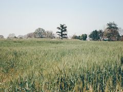-三圣花乡旅游区