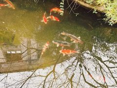 -香然会·园林雅宴(陆家嘴店)