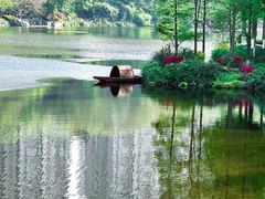-重庆彩云湖湿地公园