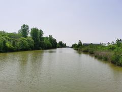 -盐城丹顶鹤湿地生态旅游区
