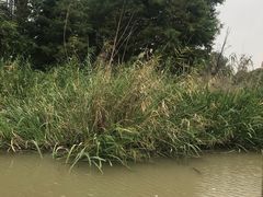 -长兴太湖图影湿地文化园