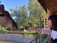 -石家庄市动物园