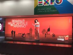 -米兰马尔彭萨国际机场