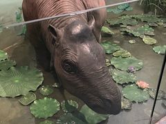 -浙江自然博物院(杭州馆)