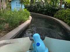 -南宫五洲植物乐园