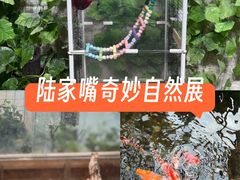-上海大自然野生昆虫馆(东方明珠·爬宠昆虫探索中心)
