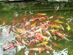 -南通洲际绿博园