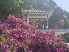 -广州市石门国家森林公园