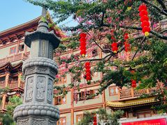 -越秀西湖花市(广州城市广场花卉店)