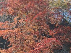 -本溪老边沟风景区