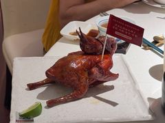 非遗红烧乳鸽-侨美食家·41年地道粤菜(恒福路店)
