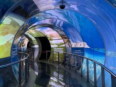 -房山世界地质公园博物馆