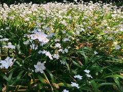 -上海市龙华烈士陵园