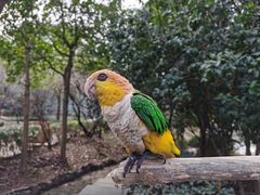 -杭州野生动物世界