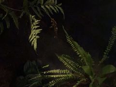 -泰之源足浴会所(玉环店)