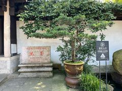 -绍兴鲁迅故里·沈园景区