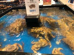 -金鹰超市(国际购物中心新街口店)