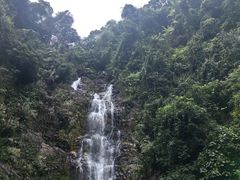 -鼎湖山风景区