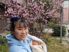 -田螺阿姨自营月嫂·育儿嫂(高新店)