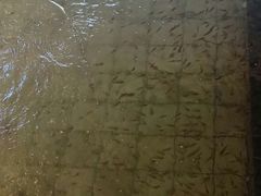 -东方华地城湿地温泉度假区