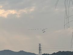 -澜花台球会所(远大金地中心店)