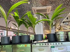 -探窝·竹笙椰子鸡(杨箕店)