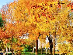 -廊坊文化艺术中心