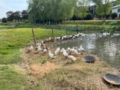 -武汉紫薇都市田园