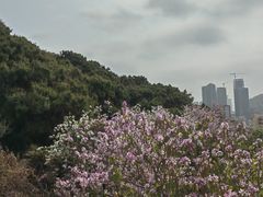 -小南山公园