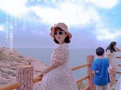 -广东惠东海龟国家级自然保护区