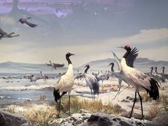 -中国湿地博物馆