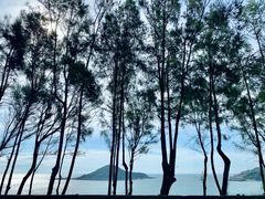 -青澳湾北回归线广场