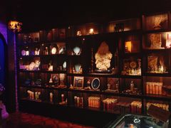 -雪灵魔法世界SHELLY’S TAROT(大良桂畔里店)