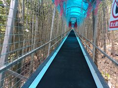 -石燕湖生态旅游景区