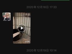 -瑞派·关忠动物医院·猫专科·犬专科(三环新城店)