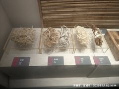 -宣城市博物馆