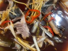-煲来饱去冷水鱼