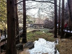 -国家植物园南园