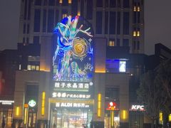 -ALDI奥乐齐超市(浦东大华锦绣优嘉店)