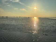 -南汇新城海滩